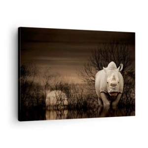 Obraz na plátně - Nosorožec mezi stromy při západu slunce, divoká příroda. - 70x50cm - Bílý proti přírodě - Moderní nástěnná dekorace do obývacího pokoje a ložnice ARTTOR