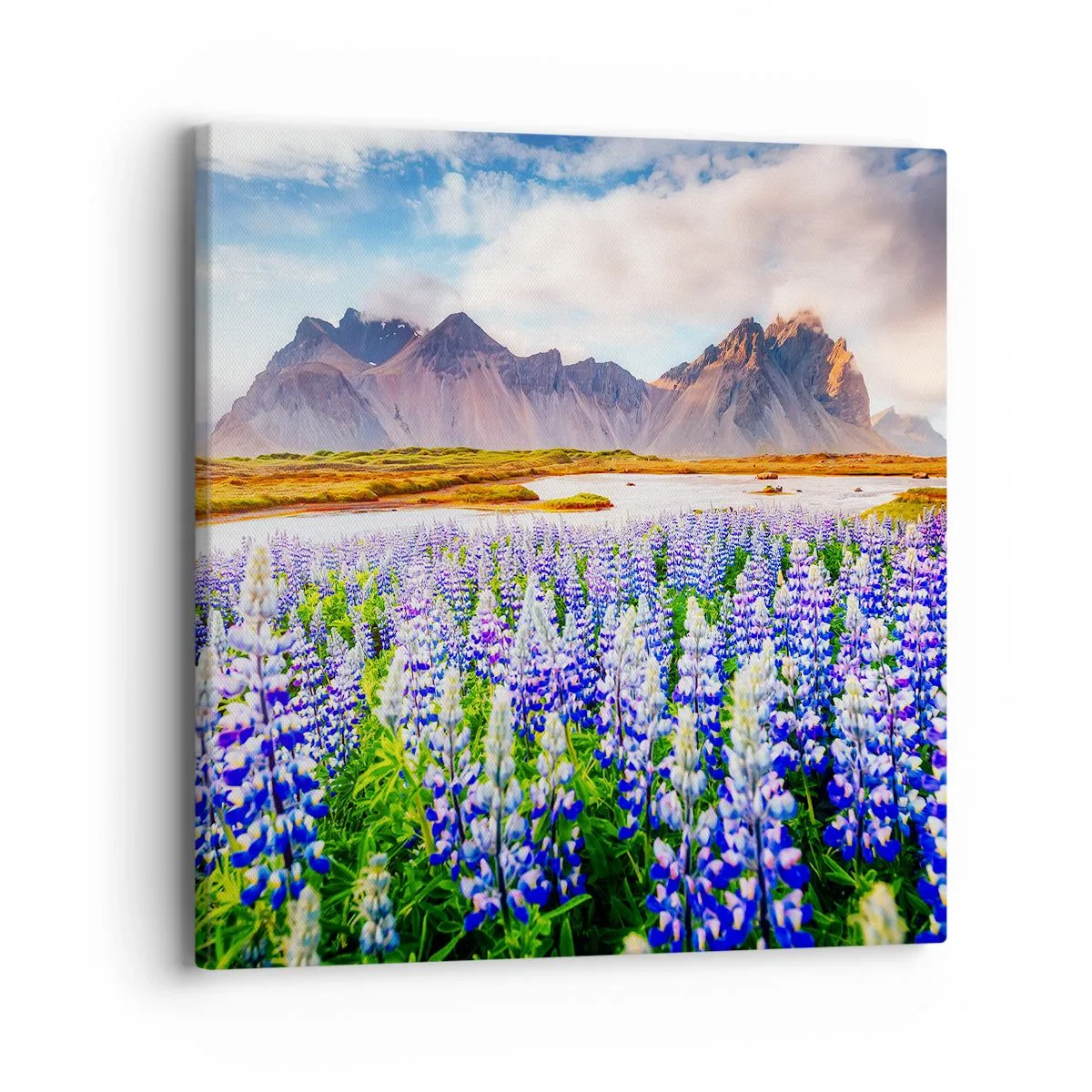 Obraz na plátně - Síla a přísnost vedle mírnosti - 40x40 cm