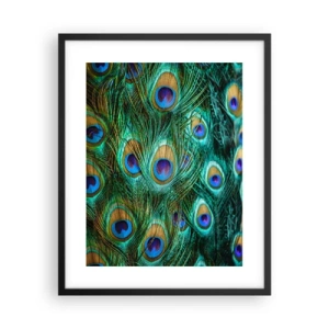 Plakát v černém rámu - Paví pohled - 40x50 cm