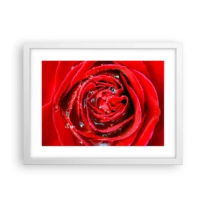 Plakát v bílém rámu - V kapkách rosy - 40x30 cm