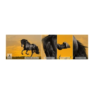 Vzor Fototapety Samolepicí Deluxe Sticker - Krásný, svobodný a divoký - Zvířata, Kůň, Krajina - 100x30 cm