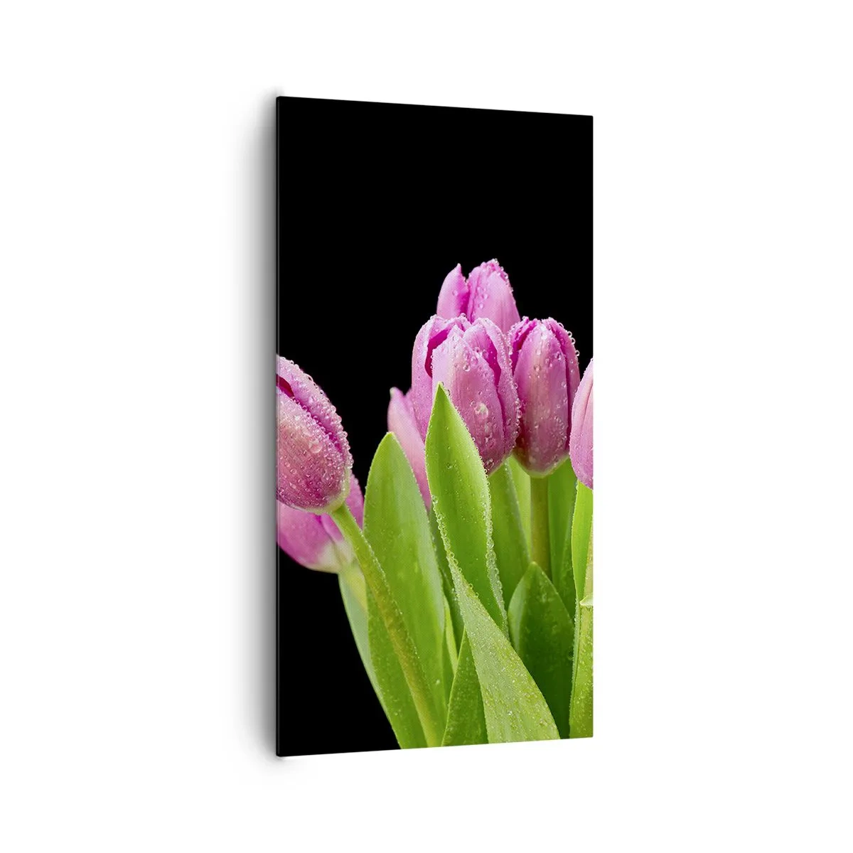 Obraz na plátně - Liliové potěšení jara - 65x120 cm