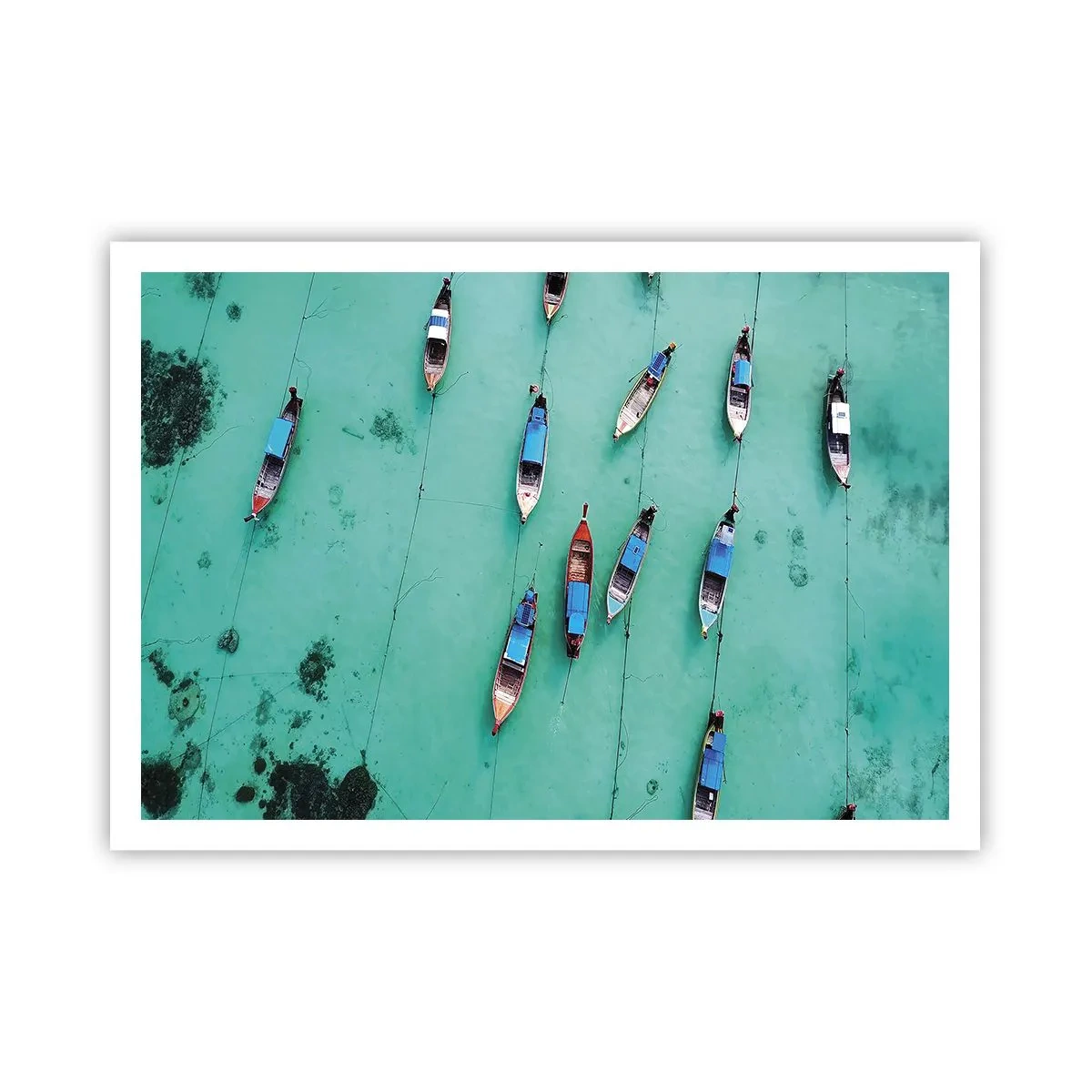 Plakát - V radostném očekávání - 100x70 cm