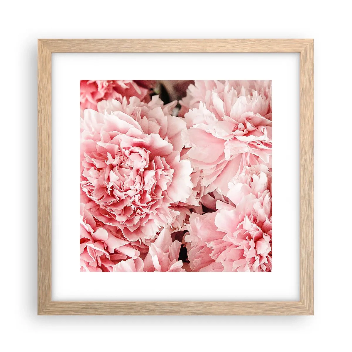 Plakát v rámu světlý dub - Růžový sen - 30x30 cm