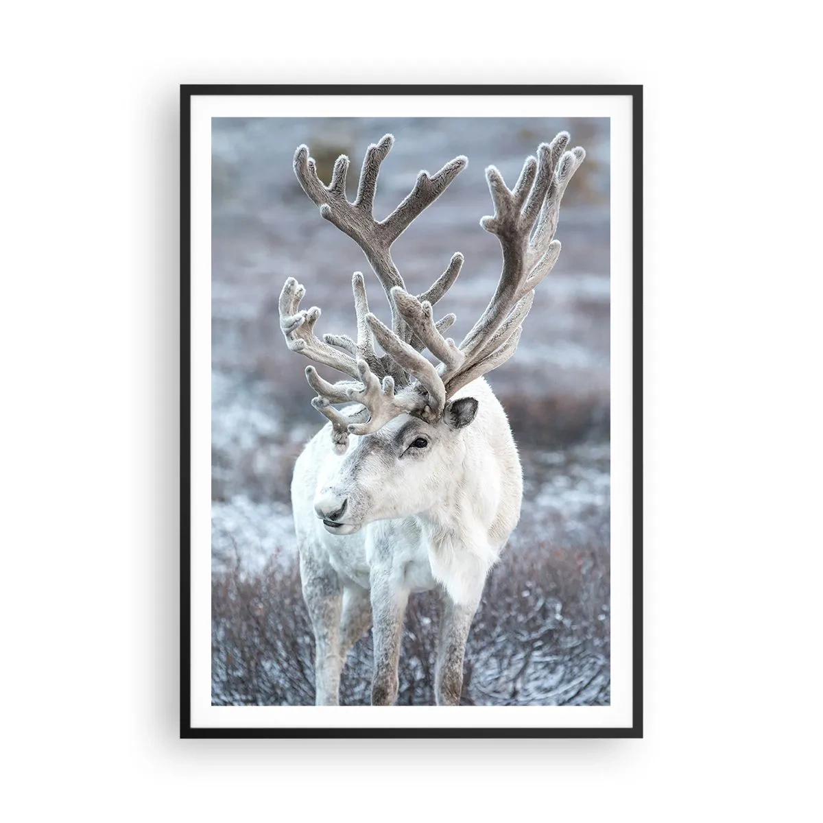 Plakát v černém rámu - Sluneční portrét - 70x100 cm