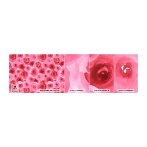 Vzor Fototapety Samolepicí Deluxe Sticker - Růže dole i nahoře - Květiny, Krása, Romantismus - 100x30 cm