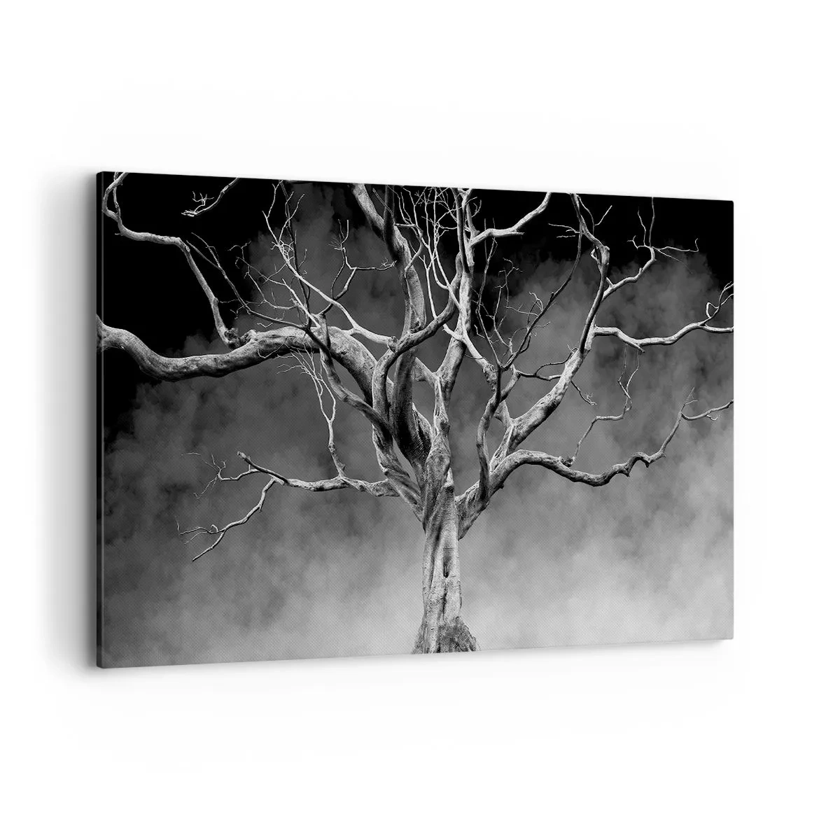 Obraz na plátně - Původní a svaté - 120x80 cm