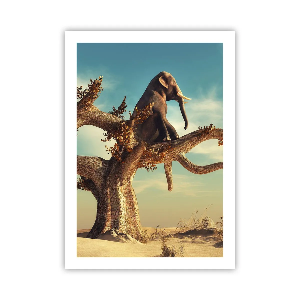 Plakát - Nový úhel pohledu - 50x70 cm