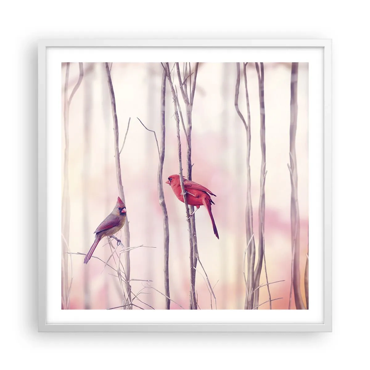 Plakát v bílém rámu - Příběh růžového lesa - 60x60 cm