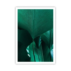 Plakát - Obrácené ke světlu - 70x100 cm