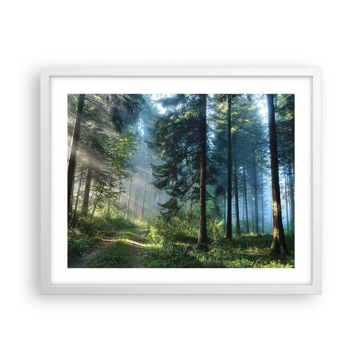 Plakát v bílém rámu - Zářící za úsvitu - 50x40 cm