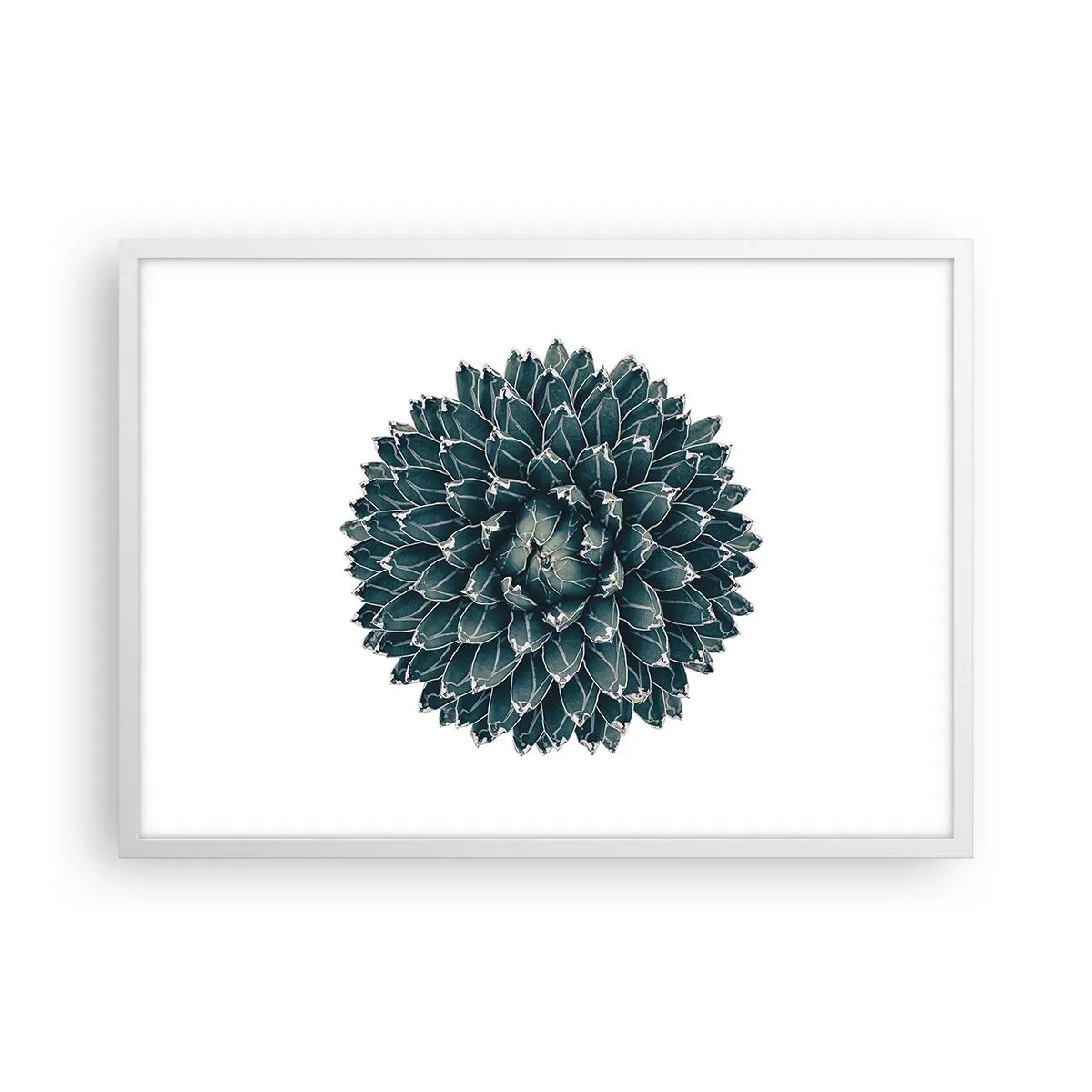 Plakát v bílém rámu - Hvězda pouště - 70x50 cm