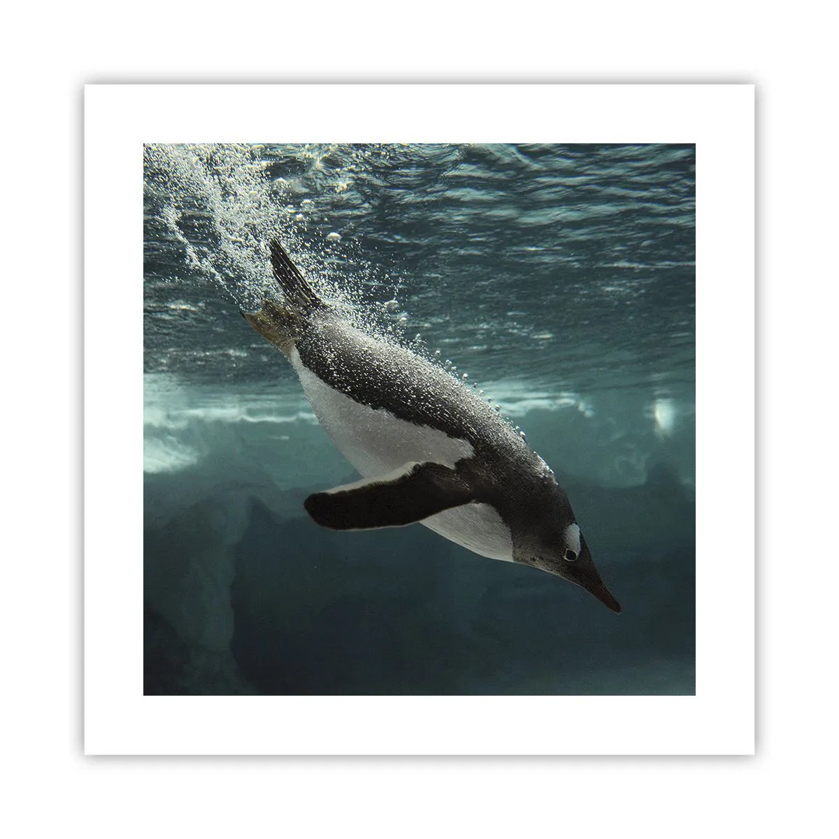 Plakát - Vítejte v mém světě - 40x40 cm