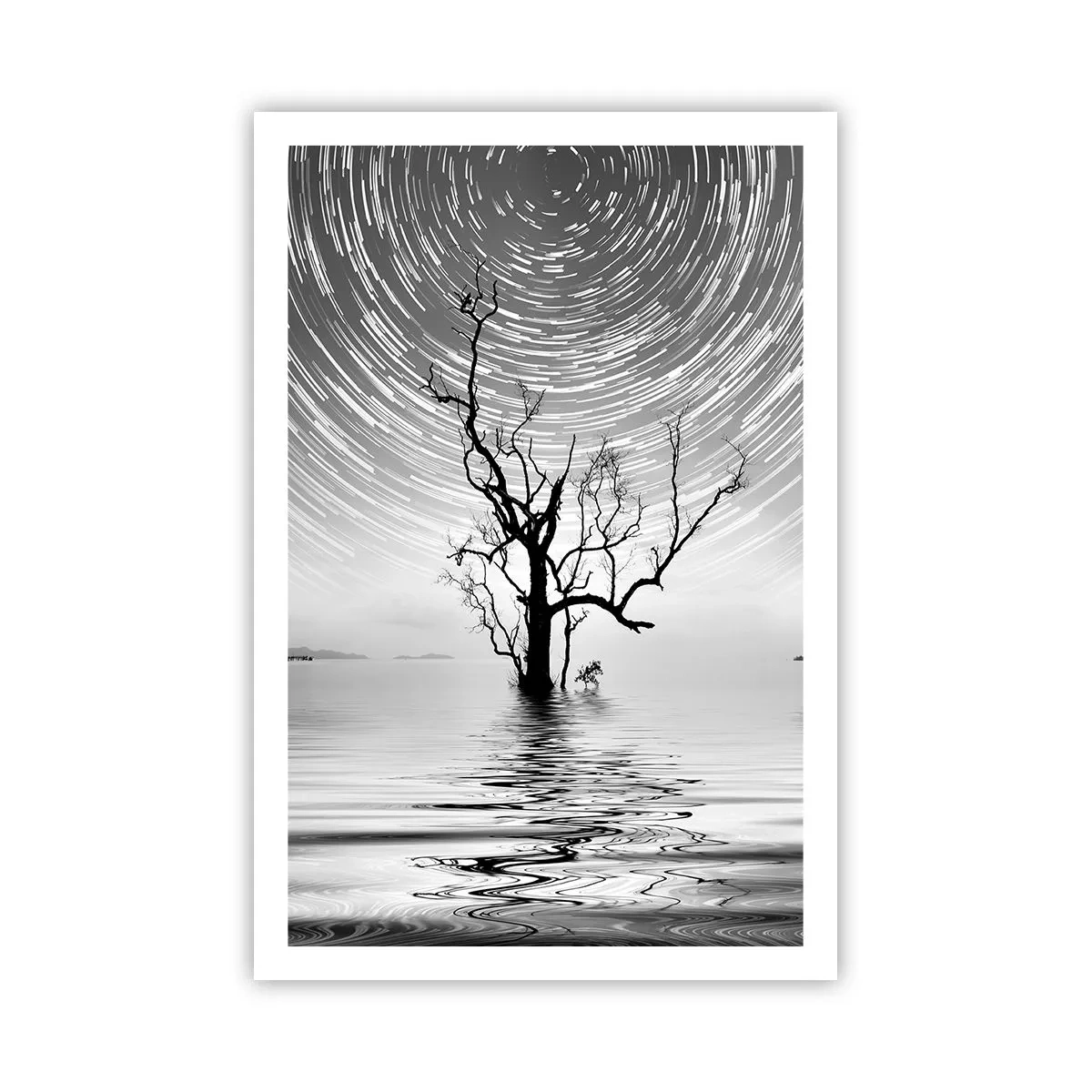 Plakát - Symfonie přírody - 61x91 cm