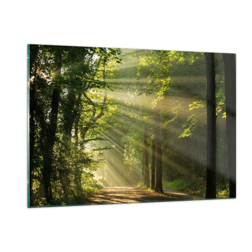 Obraz na skle - Lesní okamžik - 120x80 cm