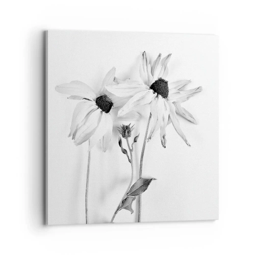 Obraz na plátně - Nikdo nechce být sám - 70x70 cm