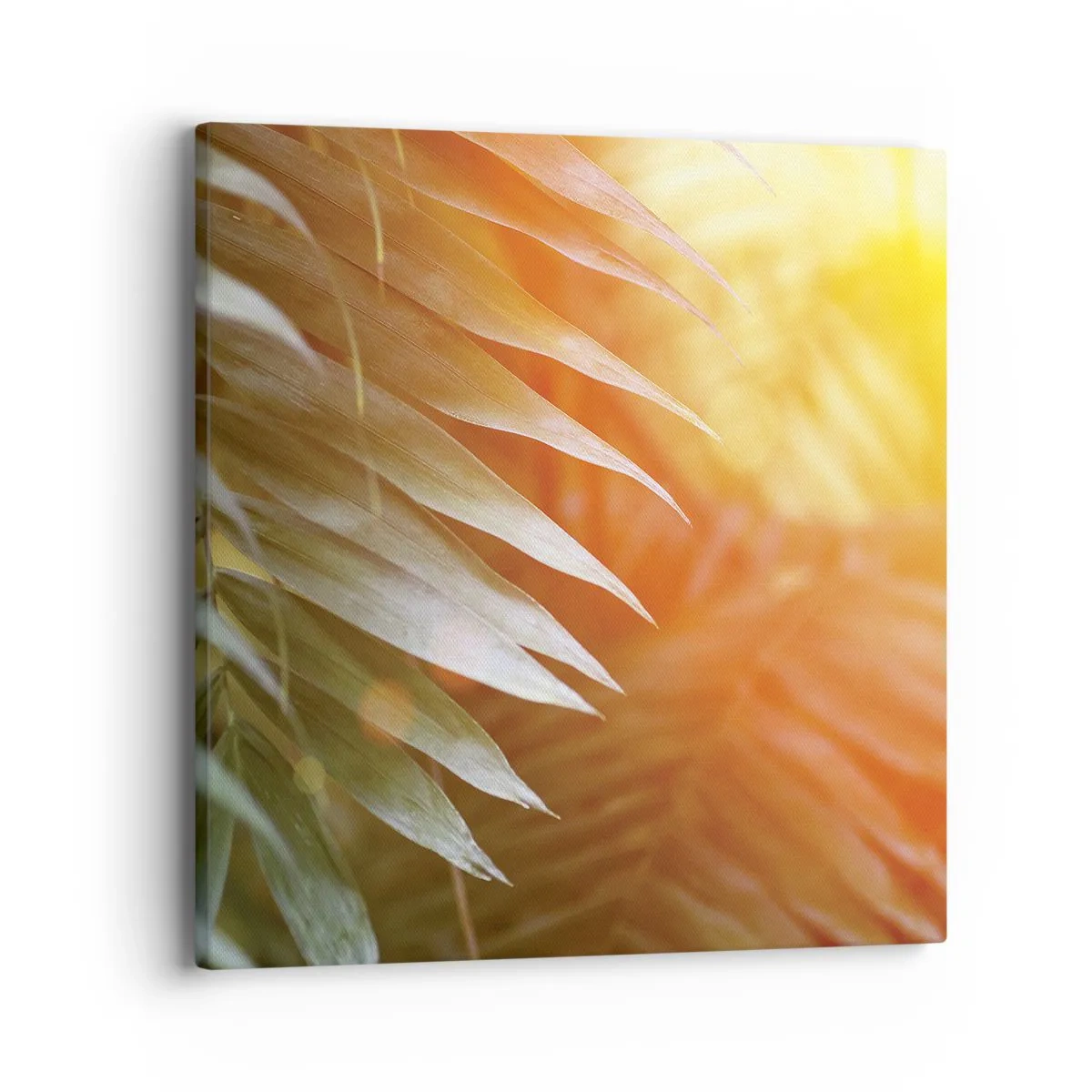 Obraz na plátně - Ráno v džungli - 40x40 cm