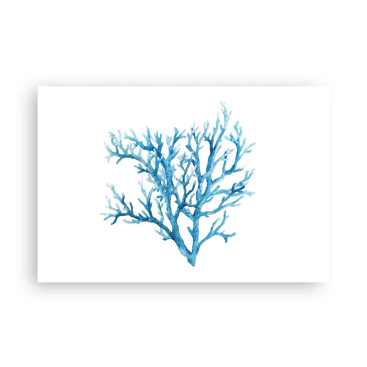 Plakát - Mořský filigrán - 91x61 cm