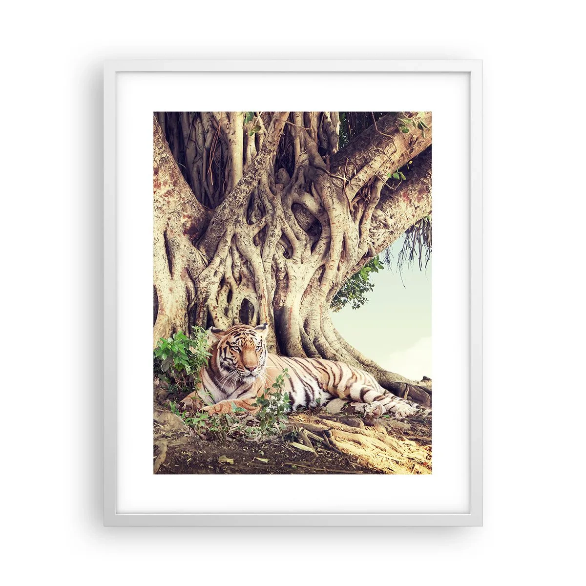 Plakát v bílém rámu - Pohled z knihy Mojžíšovy - 40x50 cm