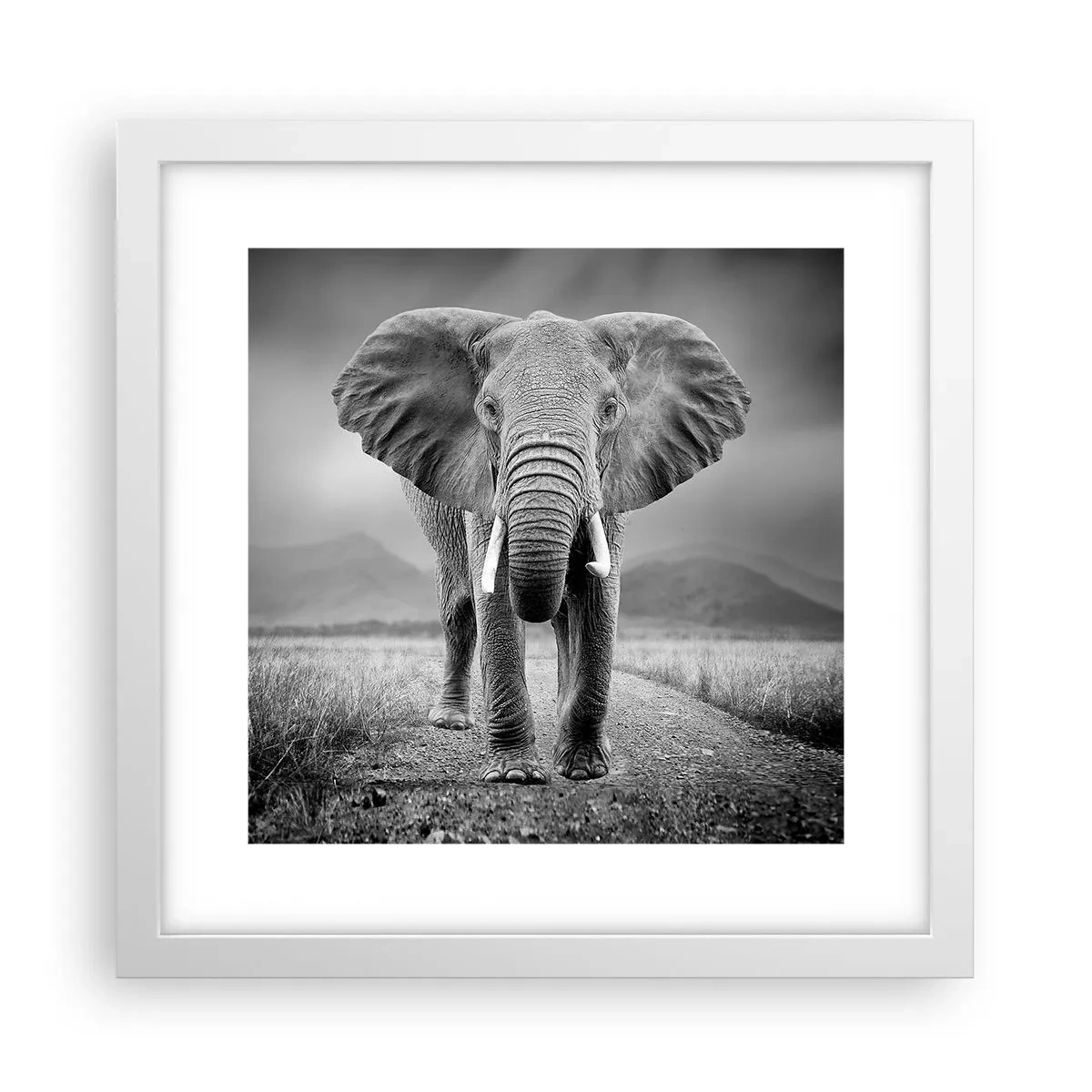 Plakát v bílém rámu - Hostitel vítá - 30x30 cm