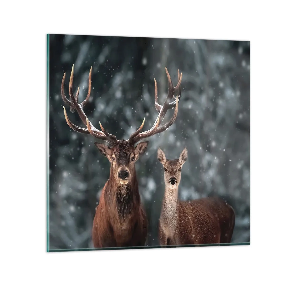 Obraz na skle - Pán lesa se svou ženou - 40x40 cm