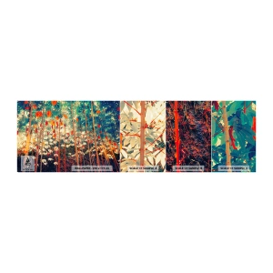 Fototapeta Vzorek Standard Eco - Tajný život listů - Tropický les, Příroda, Stromy - 100x30 cm