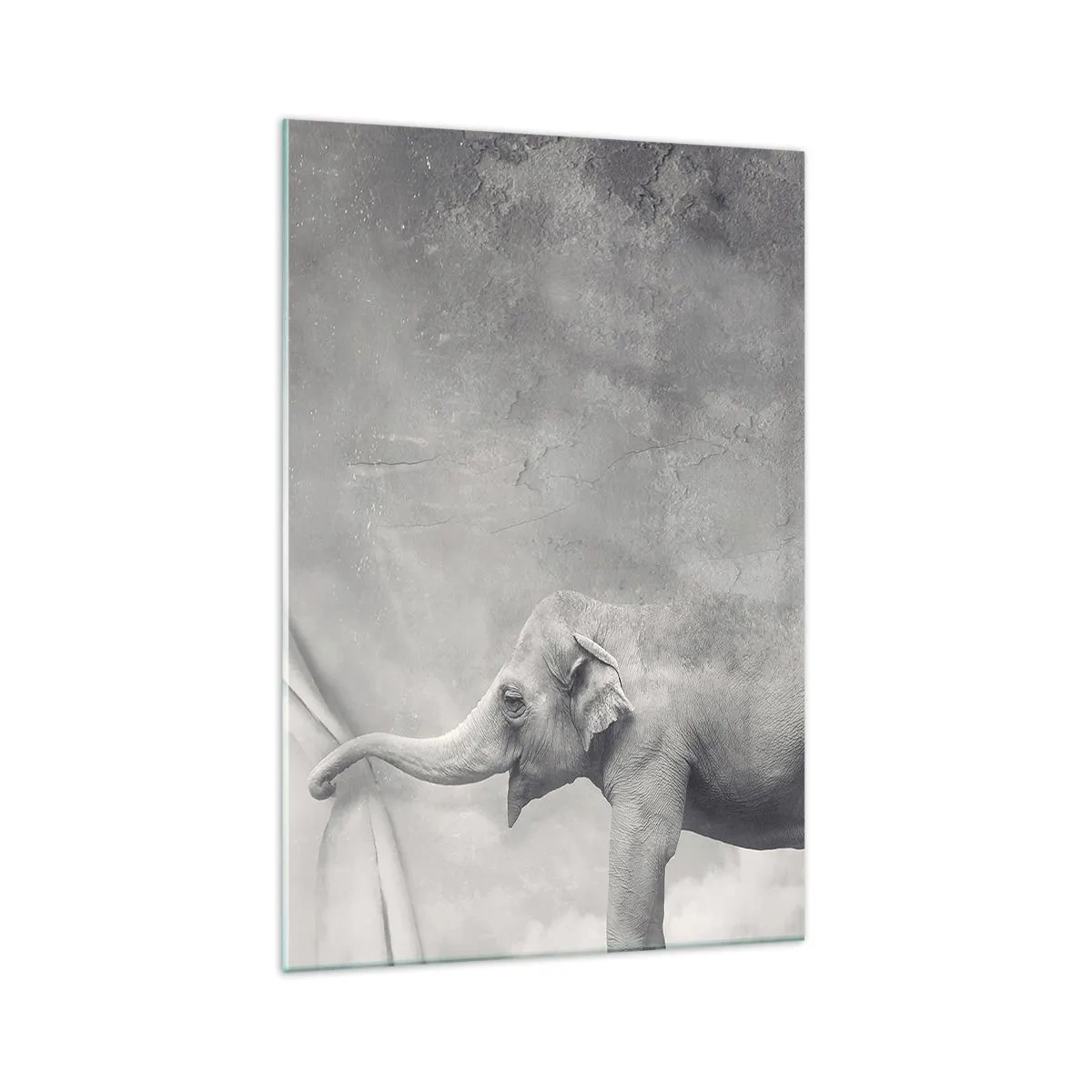 Obraz na skle - Odhalit tajemství - 70x100 cm