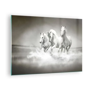 Obraz na skle - Tři bílí koně cválající po vodě - 70x50cm - Bílé šílenství - Moderní nástěnná dekorace do obývacího pokoje a ložnice ARTTOR