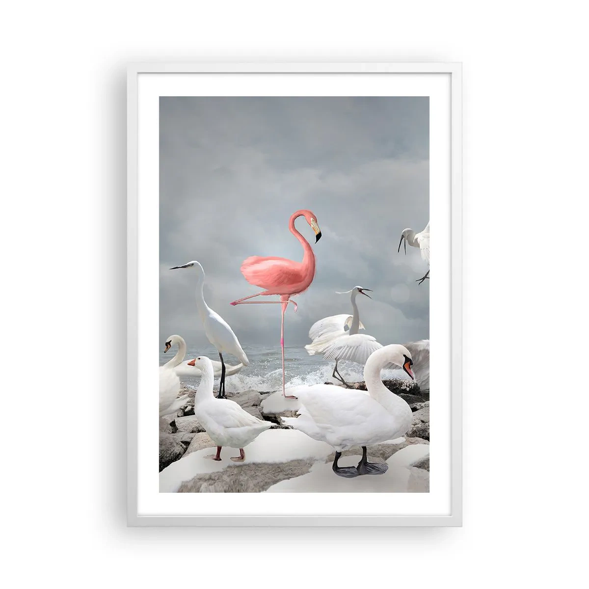 Plakát v bílém rámu - Kde jsem se tu vzal? - 50x70 cm