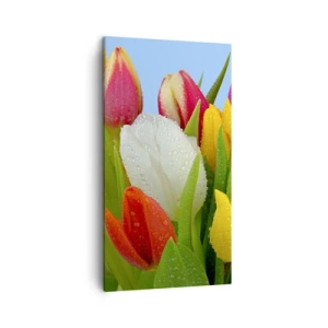 Obraz na plátně - Květinová duha v kapkách rosy - 45x80 cm