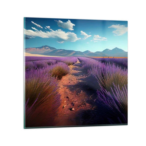 Obraz na skle - Voňavá pole - 70x70 cm