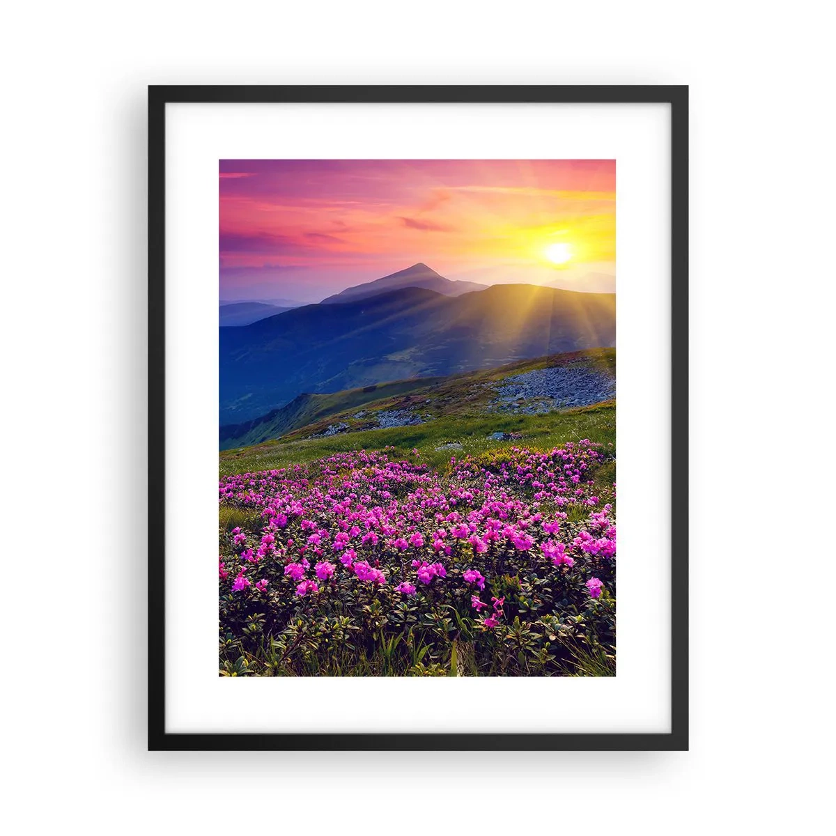 Plakát v černém rámu - …A kolem voní kosodřevina a voní byliny - 40x50 cm