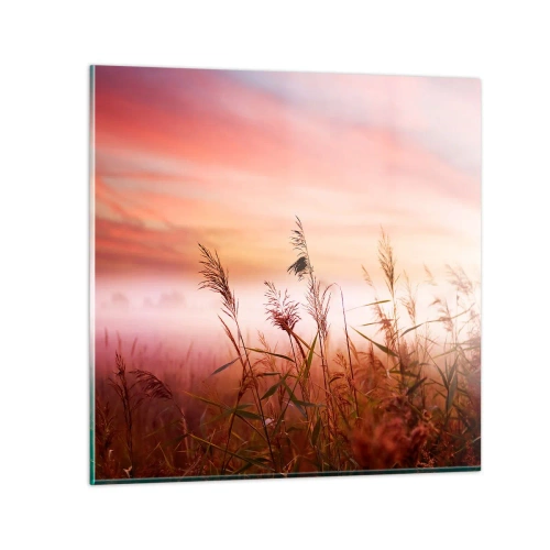 Obraz na skle - Draci, pampelišky a vítr - 40x40 cm