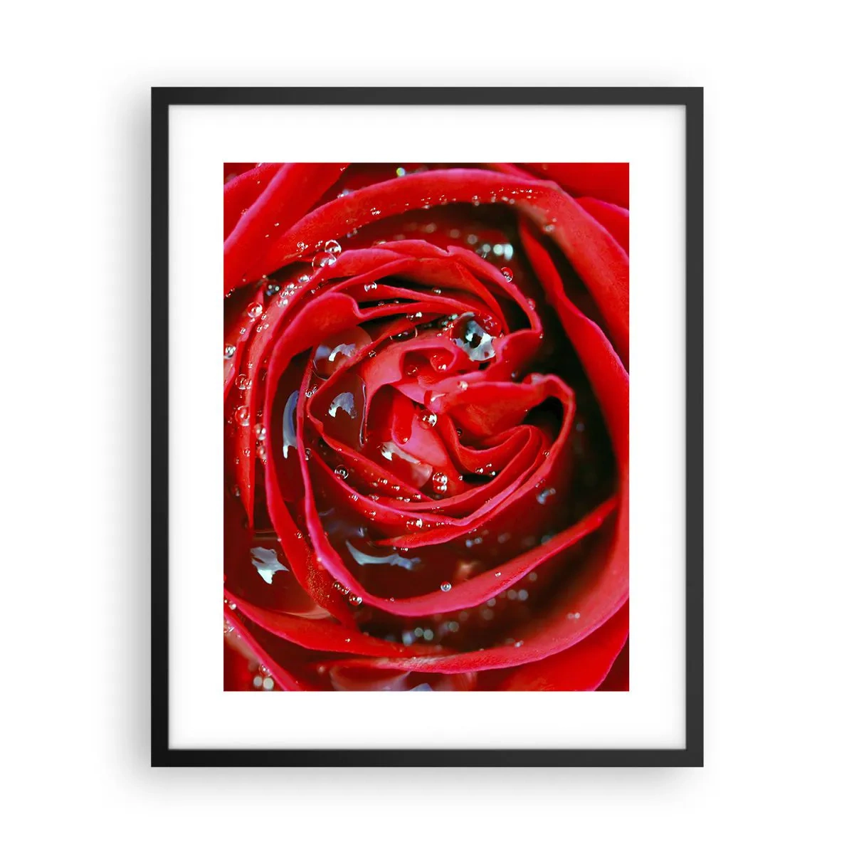 Plakát v černém rámu - V kapkách rosy - 40x50 cm