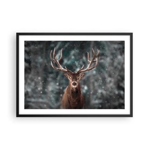 Plakát v černém rámu - Skutečný král lesa - 70x50 cm