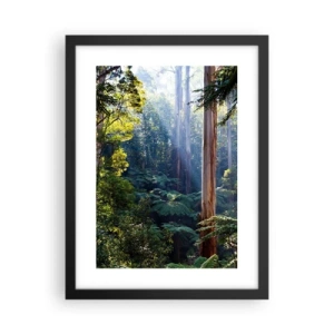 Plakát v černém rámu - Povídka lesa - 30x40 cm