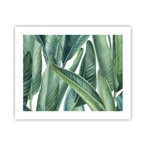 Plakát - Prostě zelená - 50x40 cm