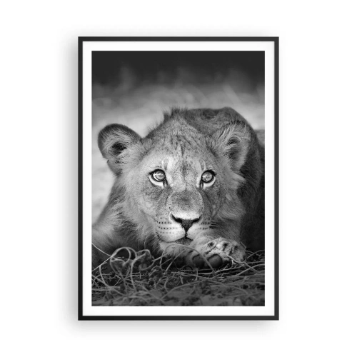 Plakát v černém rámu - Královské štěně - 70x100 cm