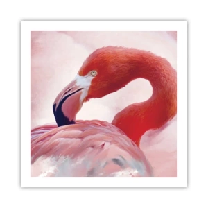 Plakát - Ptačí krása - 60x60 cm