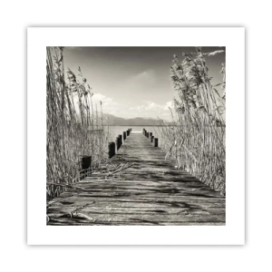 Plakát - V ústraní travin - 40x40 cm