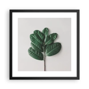 Plakát v černém rámu - Kresba samotné přírody - 40x40 cm