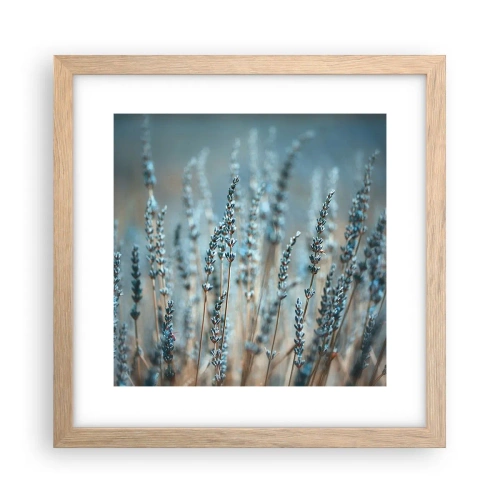 Plakát v rámu světlý dub - Voňavý lán - 30x30 cm