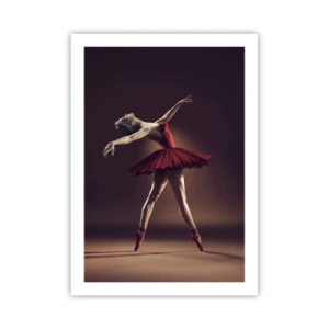 Plakát - Prima balerína - 50x70 cm