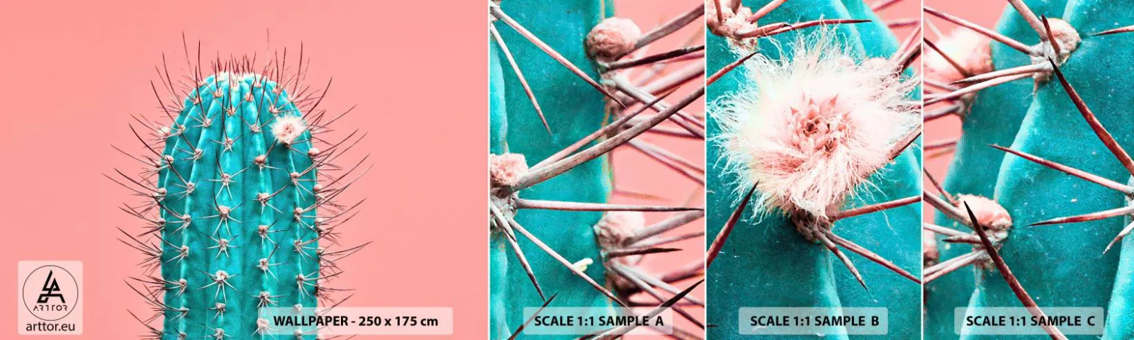 Vzor Fototapety Samolepicí Deluxe Sticker - Jen koukej - Kaktus, Pastel, Minimalismus - 100x30 cm