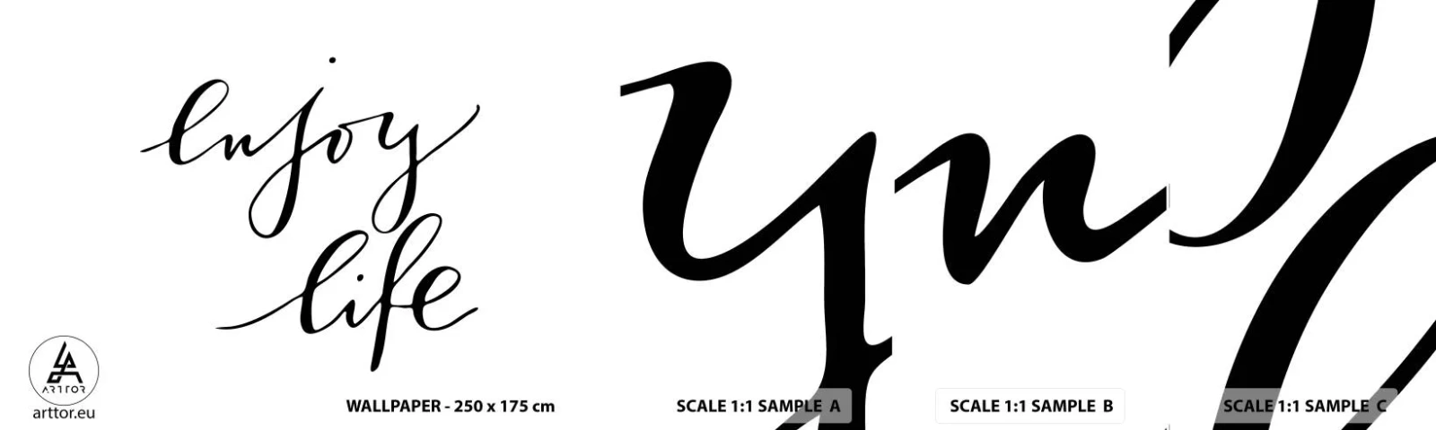 Fototapeta Vzorek Standard Eco - Není co dodat… - Typografie, Afirmace, Maxim - 100x30 cm