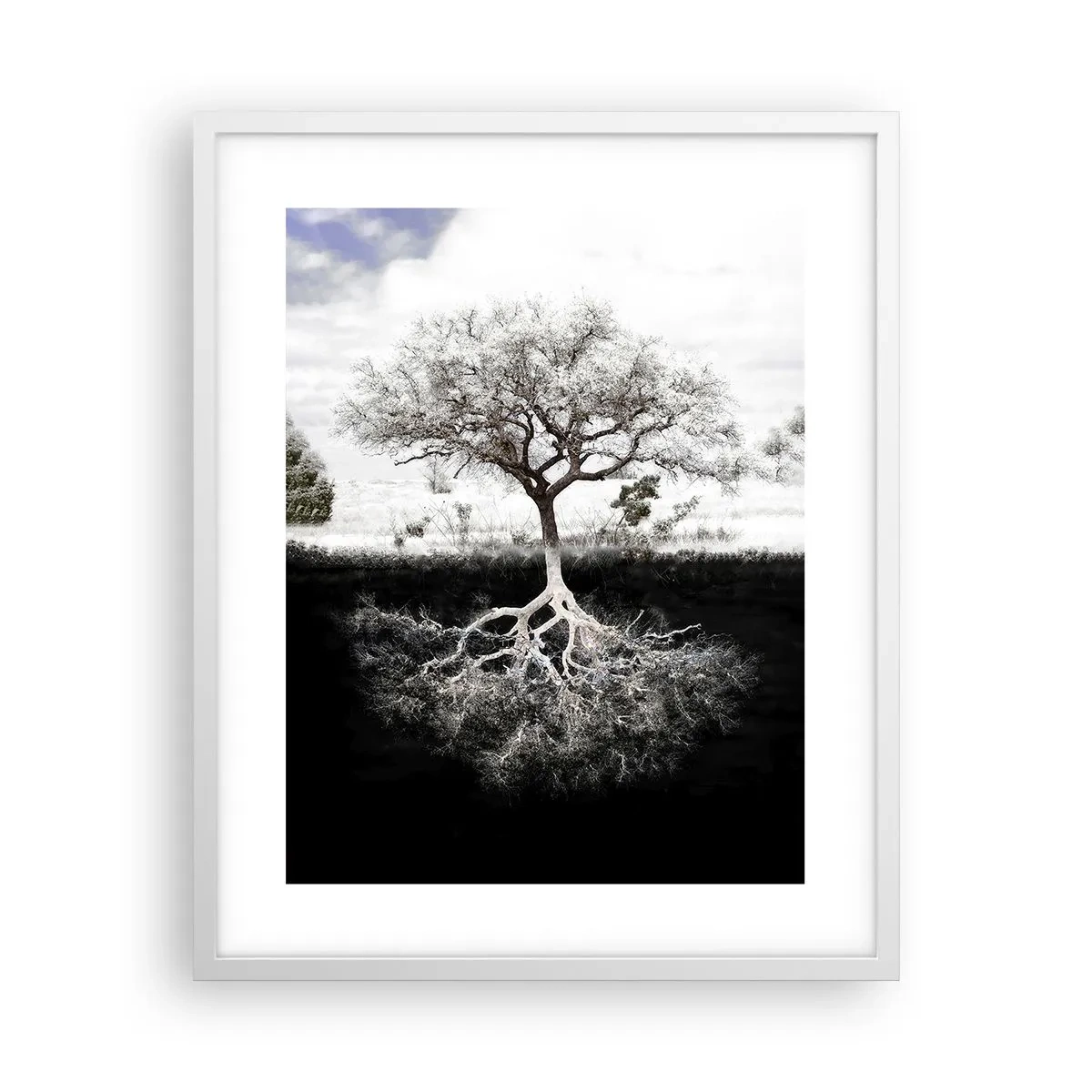 Plakát v bílém rámu - Objevení podstaty světa - 40x50 cm