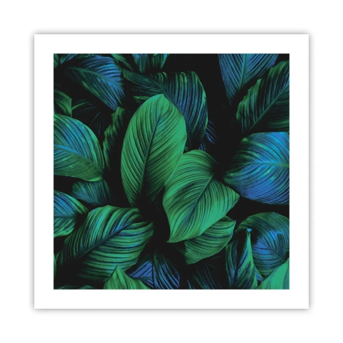 Plakát - V zeleném davu - 50x50 cm