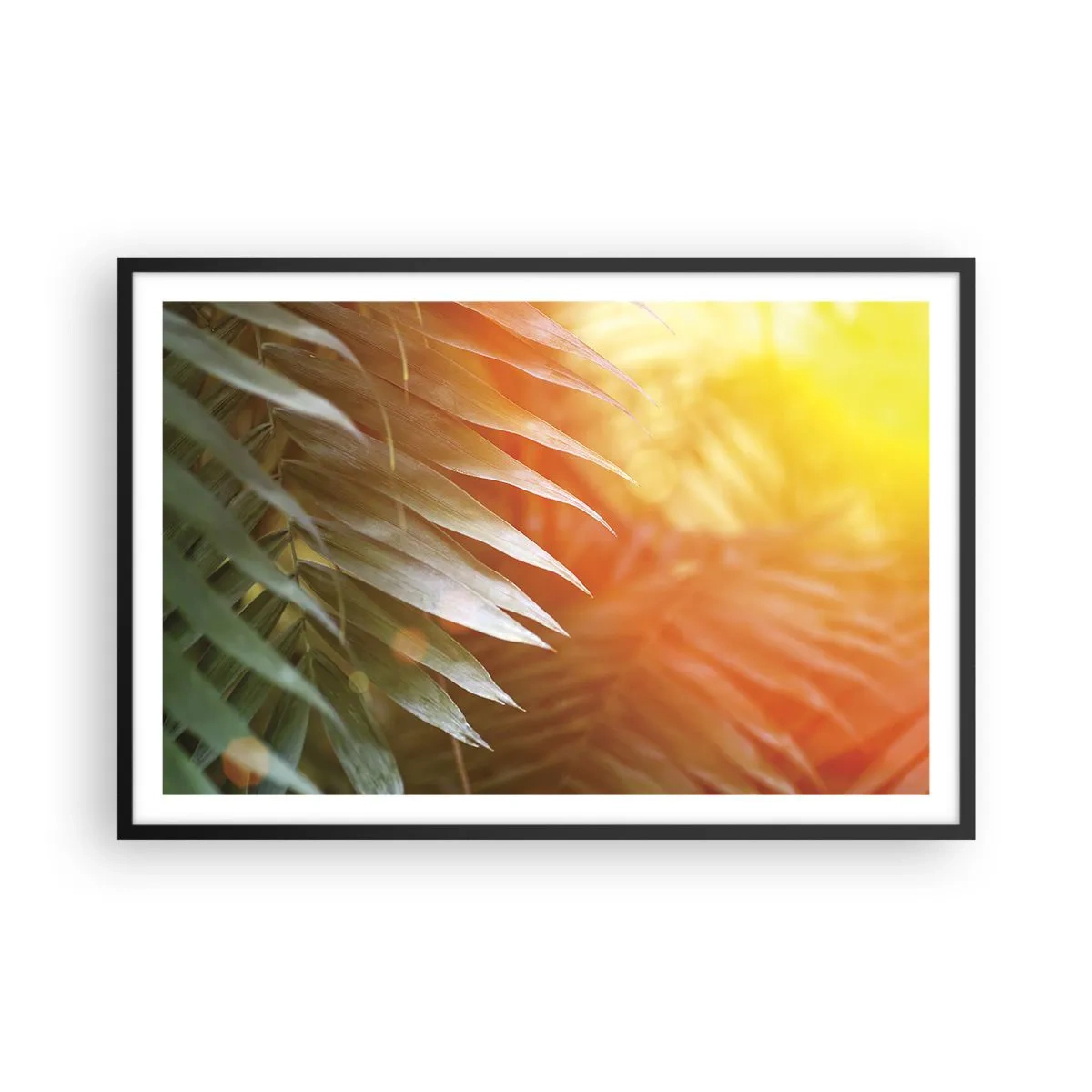 Plakát v černém rámu - Ráno v džungli - 91x61 cm