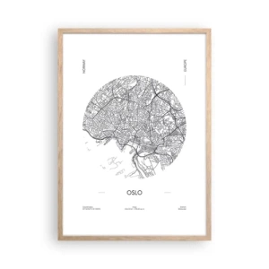 Plakát v rámu světlý dub - Anatomie Osla - 50x70 cm