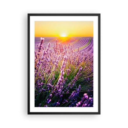 Plakát v černém rámu - Levandulové pole ozářené paprsky zapadajícího slunce - 50x70cm - Voňavý lán - Moderní nástěnná dekorace do obývacího pokoje a ložnice ARTTOR